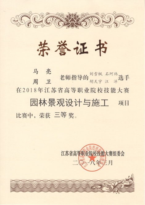 图片 11